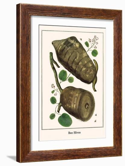 Bee Hives-Albertus Seba-Framed Art Print