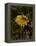 Bee in Flower-Eric Schaal-Framed Premier Image Canvas