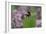 Bee in Lavender, 2018,-Helen White-Framed Giclee Print