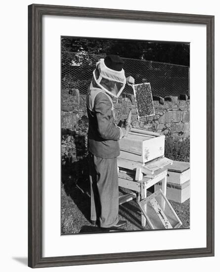 Bee Keeping - a Method of Holding a Brood Frame, When Looking for the Queen Bee-null-Framed Photographic Print