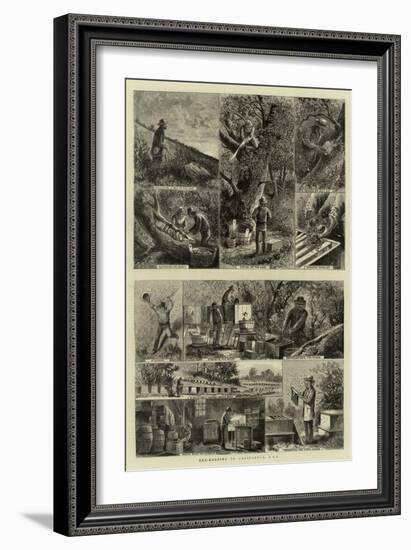 Bee-Keeping in California, USA-null-Framed Giclee Print