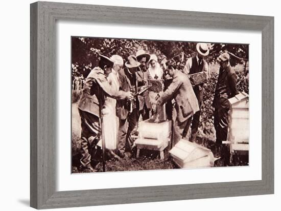 Bee-Keeping Instruction under Lord Eglinton's Scheme: Comb-Examination-English Photographer-Framed Giclee Print