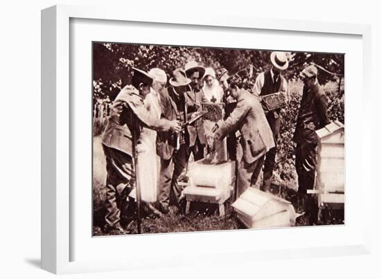 Bee-Keeping Instruction under Lord Eglinton's Scheme: Comb-Examination-English Photographer-Framed Giclee Print