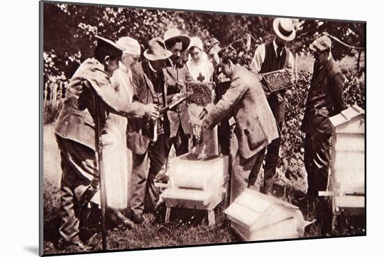 Bee-Keeping Instruction under Lord Eglinton's Scheme: Comb-Examination-English Photographer-Mounted Giclee Print