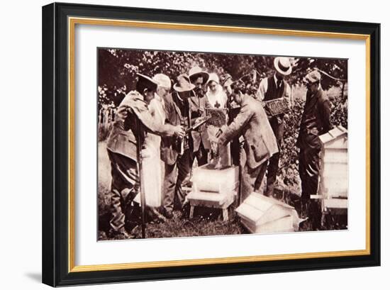 Bee-Keeping Instruction under Lord Eglinton's Scheme: Comb-Examination-English Photographer-Framed Giclee Print