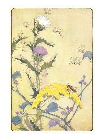 'Bee on Thistle' Art Print | Art.com