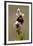 bee orchid, Ophrys apifera-Dietmar Najak-Framed Photographic Print