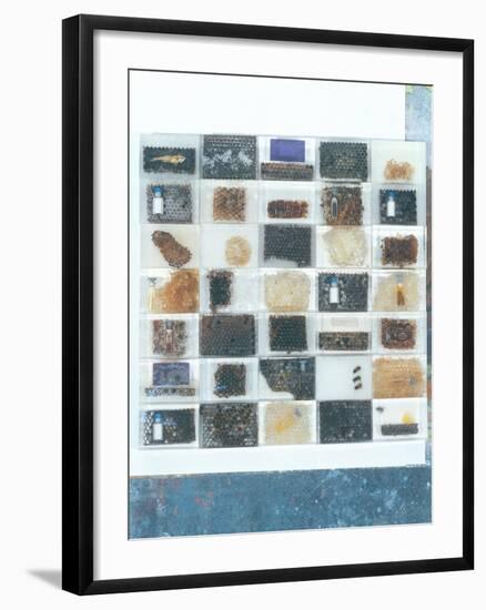 Bee Resin Casts-Charlie Millar-Framed Giclee Print