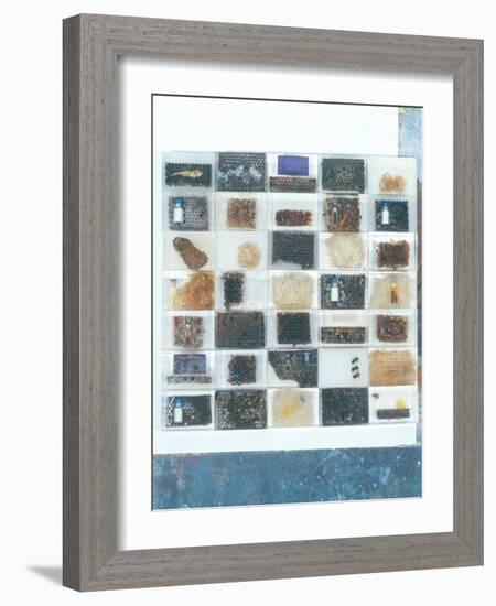 Bee Resin Casts-Charlie Millar-Framed Giclee Print