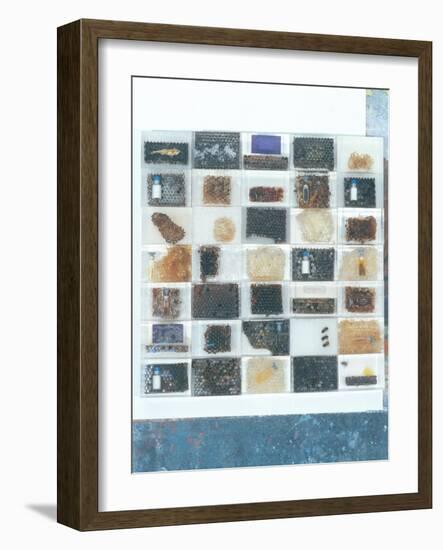 Bee Resin Casts-Charlie Millar-Framed Giclee Print