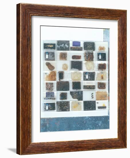 Bee Resin Casts-Charlie Millar-Framed Giclee Print