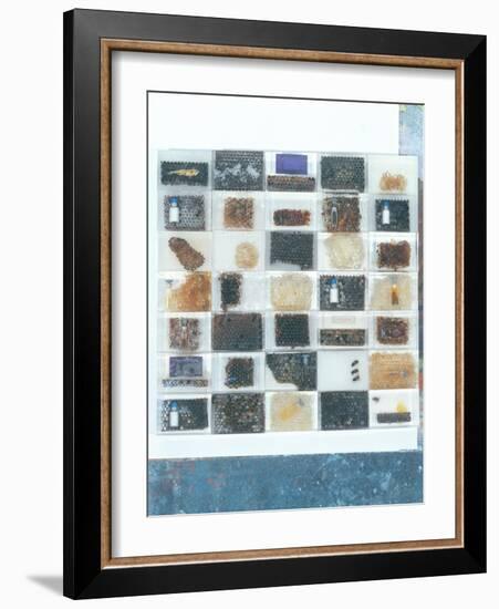 Bee Resin Casts-Charlie Millar-Framed Giclee Print