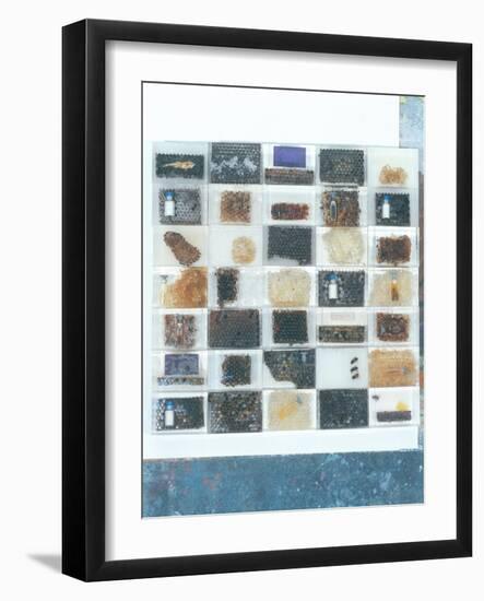 Bee Resin Casts-Charlie Millar-Framed Giclee Print