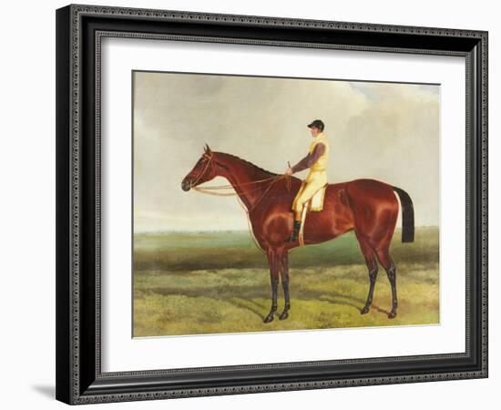 Bee's Wing', C.1840-45-Harry Hall-Framed Giclee Print