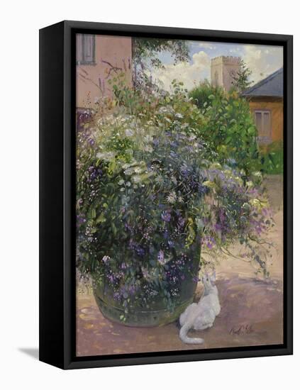 Bee Watching-Timothy Easton-Framed Premier Image Canvas