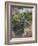 Bee Watching-Timothy Easton-Framed Giclee Print