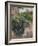 Bee Watching-Timothy Easton-Framed Giclee Print