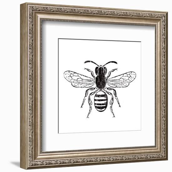 Bee-Clara Wells-Framed Art Print