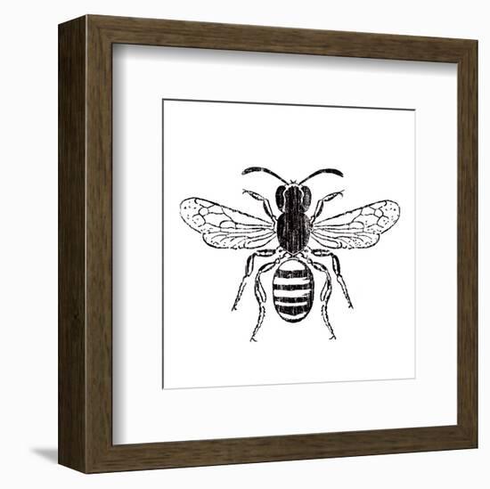 Bee-Clara Wells-Framed Art Print