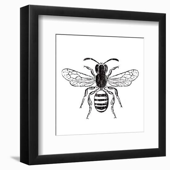 Bee-Clara Wells-Framed Art Print