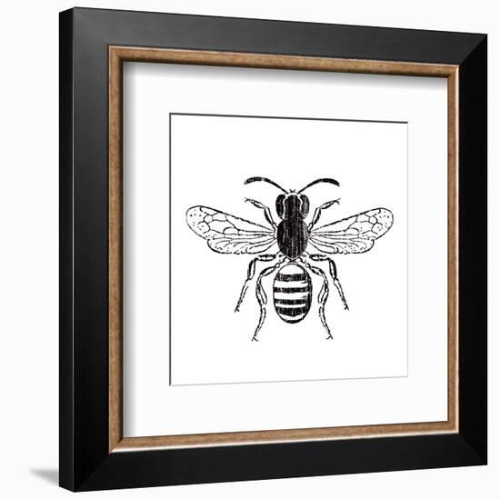 Bee-Clara Wells-Framed Art Print