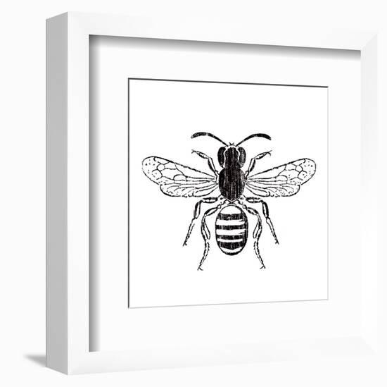 Bee-Clara Wells-Framed Art Print