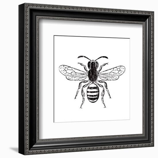 Bee-Clara Wells-Framed Art Print