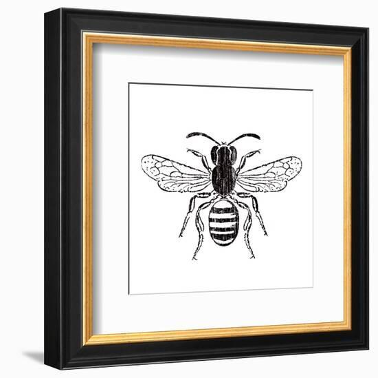 Bee-Clara Wells-Framed Art Print