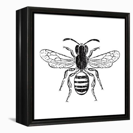 Bee-Clara Wells-Framed Stretched Canvas