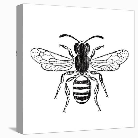 Bee-Clara Wells-Framed Stretched Canvas