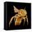 Bee-Micro Discovery-Framed Premier Image Canvas