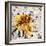 Bee-James Grey-Framed Premium Giclee Print