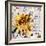 Bee-James Grey-Framed Premium Giclee Print