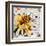 Bee-James Grey-Framed Art Print