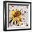 Bee-James Grey-Framed Art Print