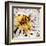 Bee-James Grey-Framed Art Print