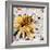 Bee-James Grey-Framed Art Print