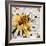 Bee-James Grey-Framed Art Print