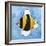 Bee-null-Framed Giclee Print