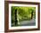 Beech and Bluebell Woodland at Lanhydrock, Cornwall, UK-Ross Hoddinott-Framed Photographic Print