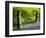 Beech and Bluebell Woodland at Lanhydrock, Cornwall, UK-Ross Hoddinott-Framed Photographic Print