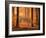 Beech Forest, Autumn-Thonig-Framed Photographic Print