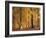 Beech Forest, Autumn-Thonig-Framed Photographic Print