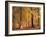 Beech Forest, Autumn-Thonig-Framed Photographic Print