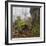 Beech Forest in the Gorbea Nature Reserve, Fog, Moss, the Basque Provinces, Spain-Rainer Mirau-Framed Photographic Print