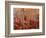 Beech forest-Marco Carmassi-Framed Photographic Print