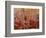 Beech forest-Marco Carmassi-Framed Photographic Print