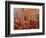 Beech forest-Marco Carmassi-Framed Photographic Print