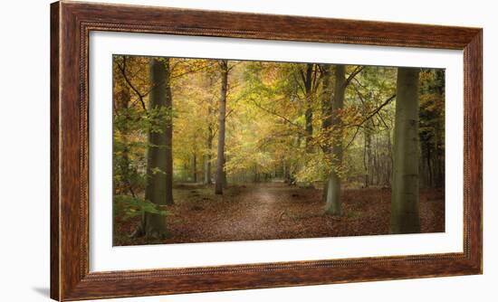 Beech Glade II-Bill Philip-Framed Giclee Print