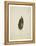 Beech leaf on yellowed paper, beige-Axel Killian-Framed Premier Image Canvas